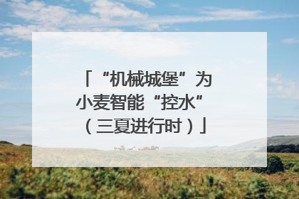 “机械城堡”为小麦智能“控水”（三夏进行时）